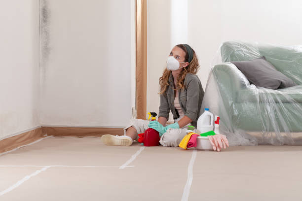 Reliable Hvac And Air Duct Mold Remediation contractor in Vandalia, MI by 24 Hour Mold Removal